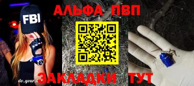прущие грибы Гудермес
