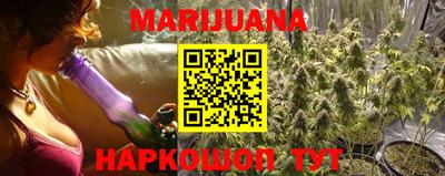 прущие грибы Гудермес