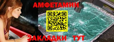 прущие грибы Гудермес