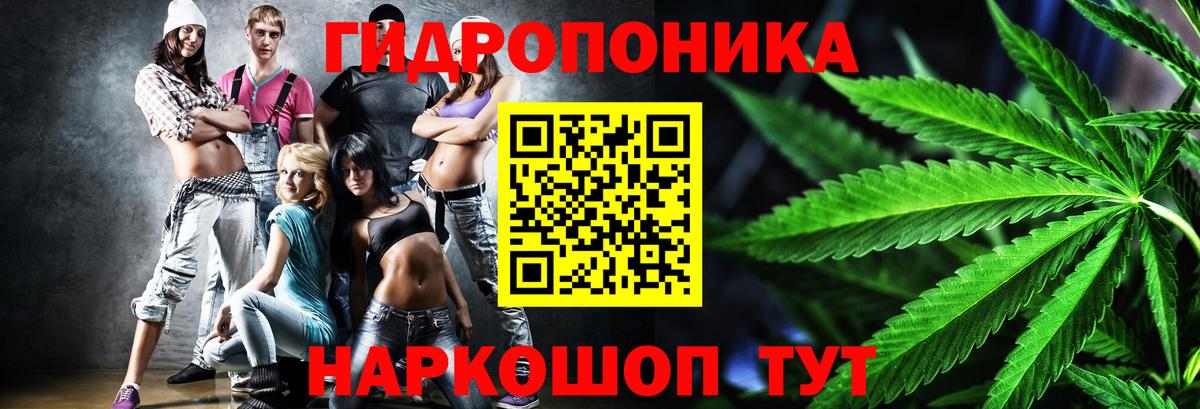 МАРИХУАНА White Widow Вичуга